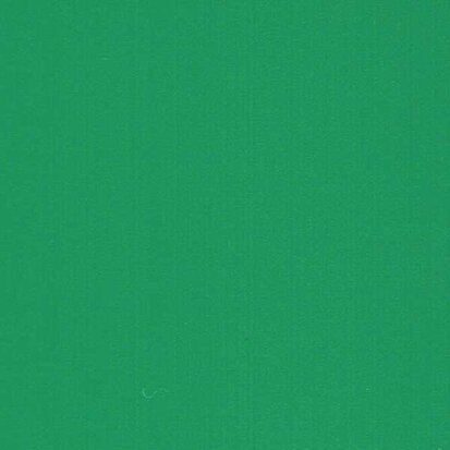 Cactus Green - Vinyle Matte AVERY DENNISON 61,5cm x 10m