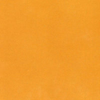 Citrouille - Cardstock Adhésif SILHOUETTE