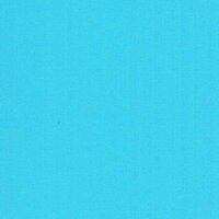 Bleu Clair - Vinyle Brillant 24,6cm x 3m Silhouette Bleu Clair - Vinyle Brillant 24,6cm x 3m Silhouette