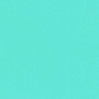 Mint - Vinyle Matte AVERY DENNISON 