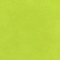 Vert Feuille - Cardstock Adhésif SILHOUETTE