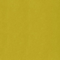 Anis - Cardstock Adhésif SILHOUETTE