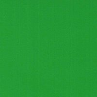 Grass Green - Vinyle Matte AVERY DENNISON