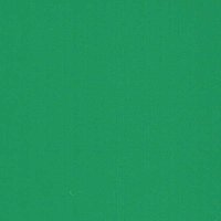 Cactus Green - Vinyl Mat AVERY DENNISON