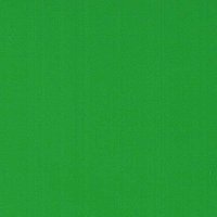Grass Green - Vinyle Brillant AVERY DENNISON