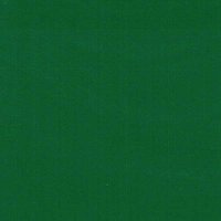 Forest Green - Vinyle Brillant AVERY DENNISON