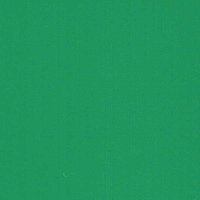 Cactus Green - Vinyle Brillant AVERY DENNISON