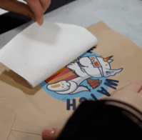 A3 Multi-Trans Pro FOREVER