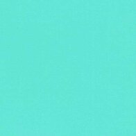 Mint - Vinyle Matte AVERY DENNISON