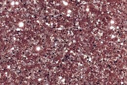 6060 30cm Rose Gold NOVA-FLEX PET GLITTER