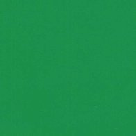 Kelly Green - Vinyle Matte AVERY DENNISON