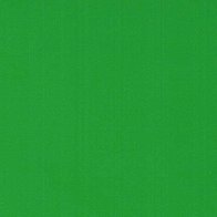 Grass Green - Vinyle Matte AVERY DENNISON