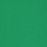 Cactus Green - Vinyle Matte AVERY DENNISON