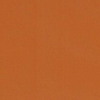 Nut Brown - Vinyle Brillant AVERY DENNISON