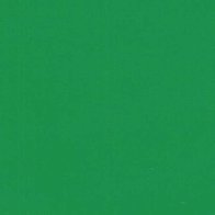 Kelly Green - Vinyle Brillant AVERY DENNISON