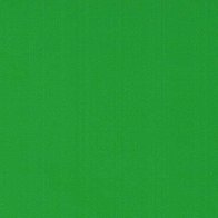 Grass Green - Vinyle Brillant AVERY DENNISON