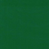 Forest Green - Vinyle Brillant AVERY DENNISON