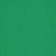 Cactus Green - Vinyle Brillant AVERY DENNISON