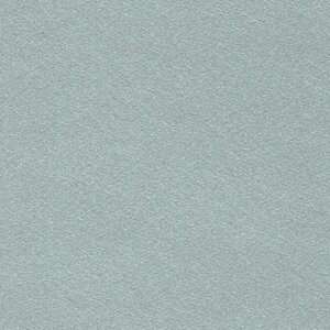 Argent - Vinyle Mat 24,6cm x 3m Silhouette