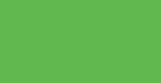 Neon Green - FlexCut X4
