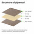 3mm Walnut Plywood 30x30cm (6x) - xTool_